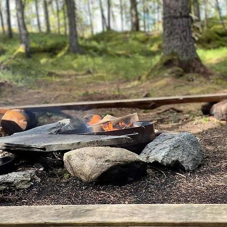 Treetop Ekne - Hytte I Skogen Med Hengebru Hotel Levanger Bagian luar foto