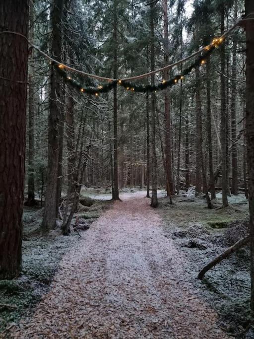 Treetop Ekne - Hytte I Skogen Med Hengebru Hotel Levanger Bagian luar foto