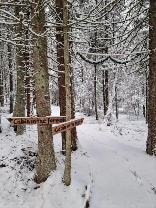 Treetop Ekne - Hytte I Skogen Med Hengebru Hotel Levanger Bagian luar foto
