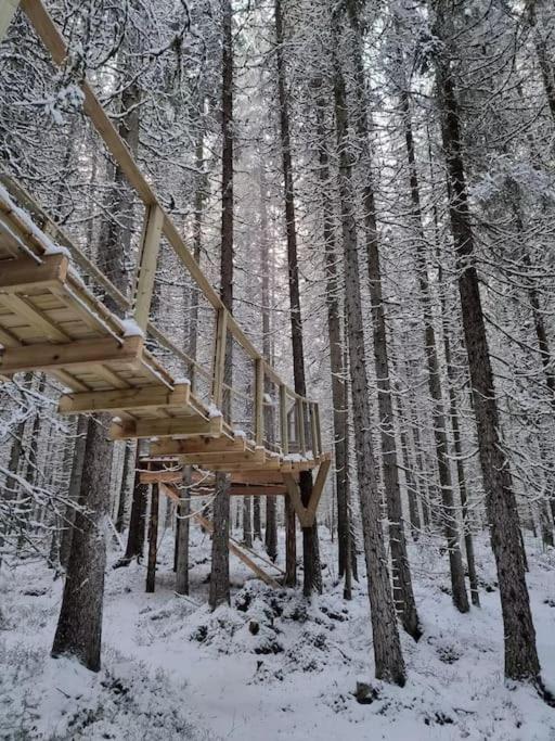 Treetop Ekne - Hytte I Skogen Med Hengebru Hotel Levanger Bagian luar foto