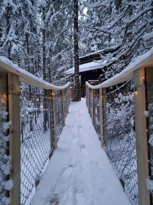 Treetop Ekne - Hytte I Skogen Med Hengebru Hotel Levanger Bagian luar foto