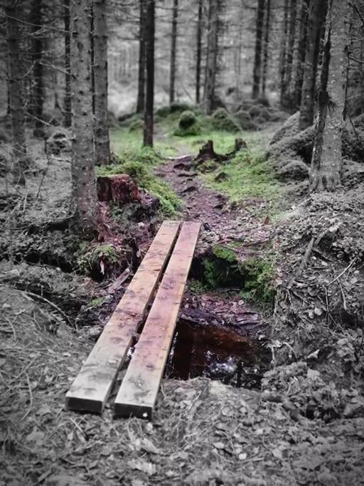 Treetop Ekne - Hytte I Skogen Med Hengebru Hotel Levanger Bagian luar foto
