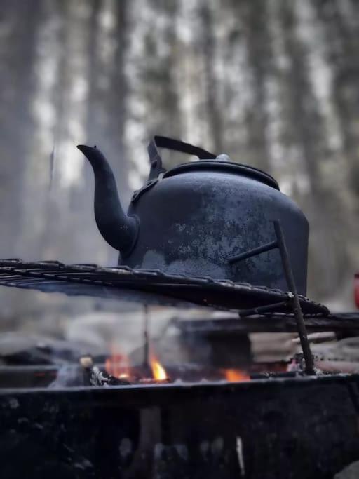 Treetop Ekne - Hytte I Skogen Med Hengebru Hotel Levanger Bagian luar foto