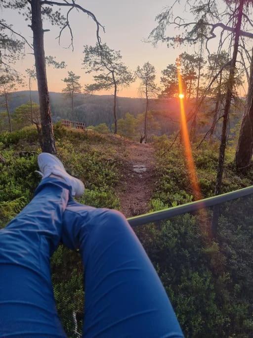Treetop Ekne - Hytte I Skogen Med Hengebru Hotel Levanger Bagian luar foto