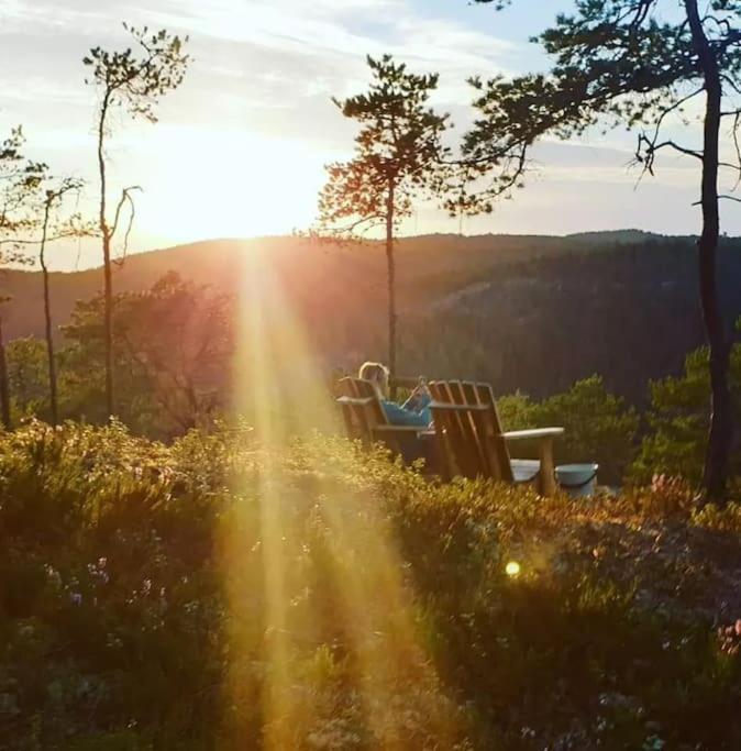 Treetop Ekne - Hytte I Skogen Med Hengebru Hotel Levanger Bagian luar foto
