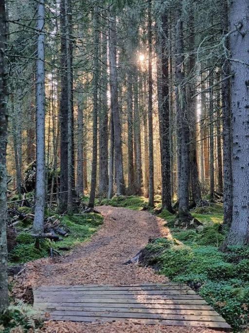 Treetop Ekne - Hytte I Skogen Med Hengebru Hotel Levanger Bagian luar foto